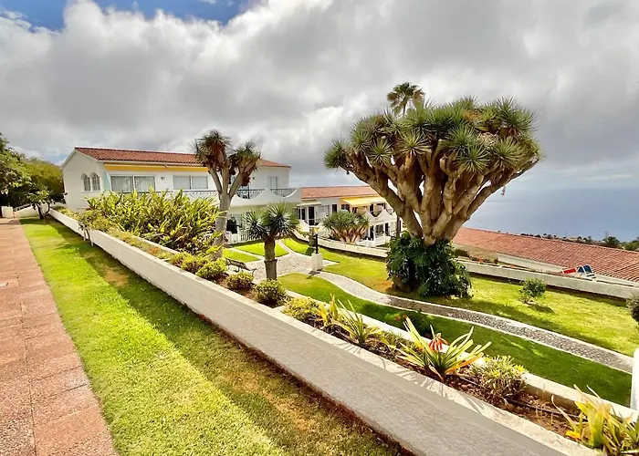 Blue Oasis * טקורונטה